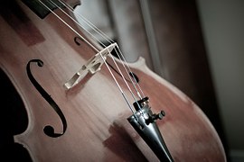 cello-110981__180